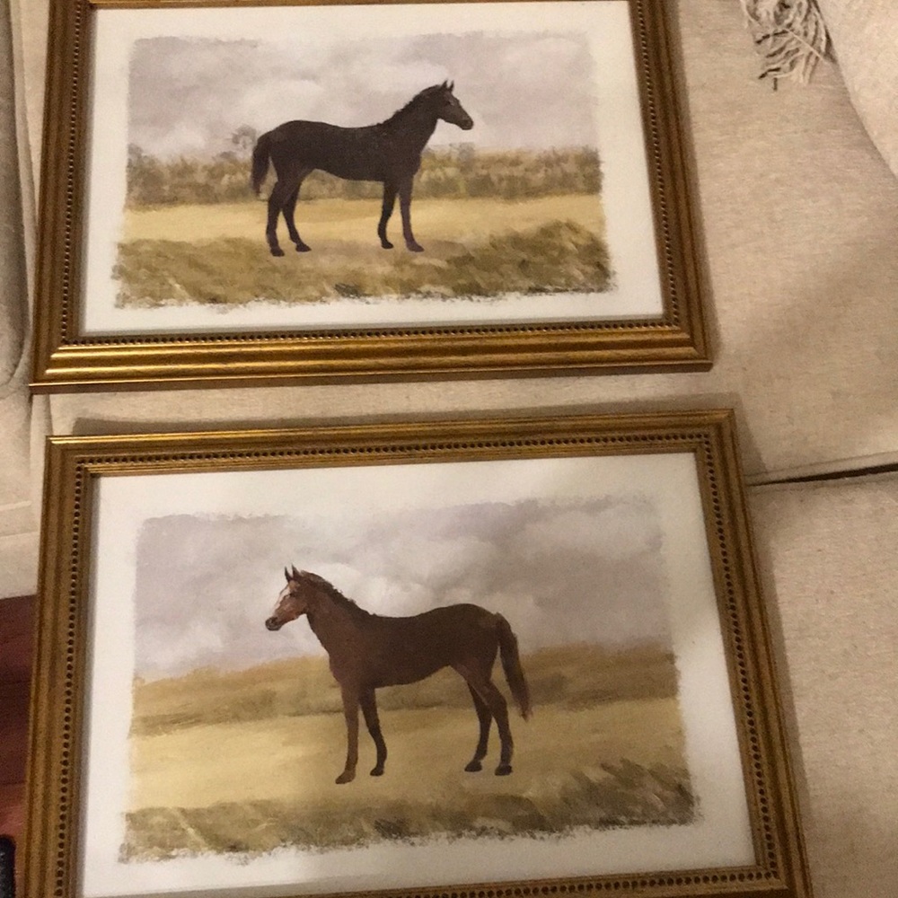 COPY - Two horse pictures